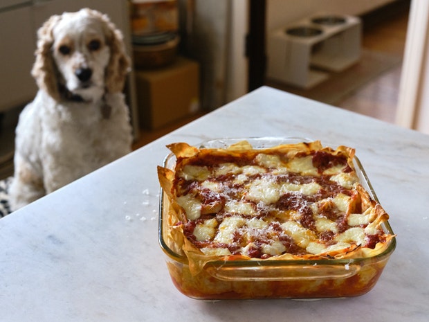 Lasagna in a Glass Baking Dish on a Marble Counter Top