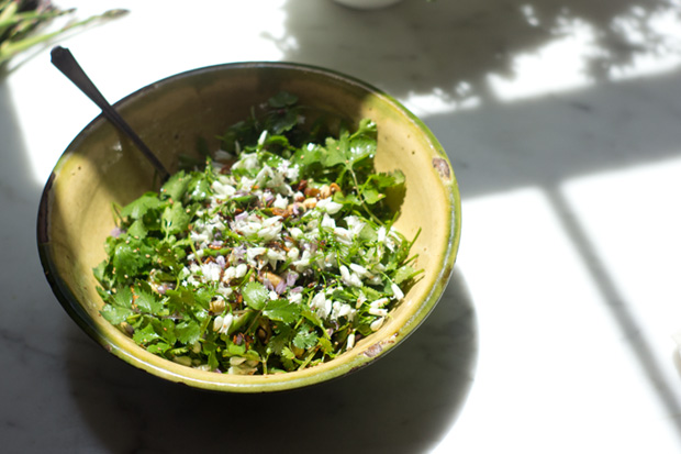 Cilantro Salad Recipe