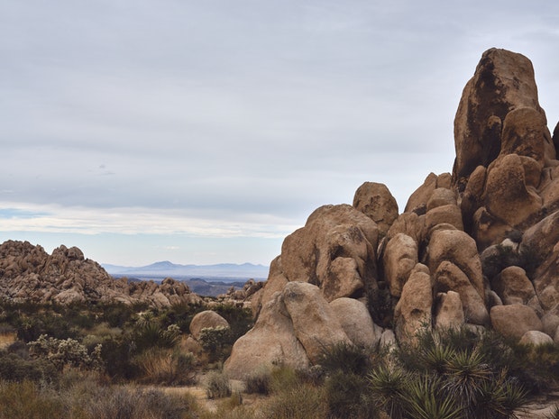 Joshua Tree Campground