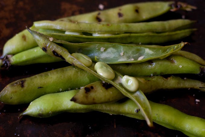 Grilled Fava Beans