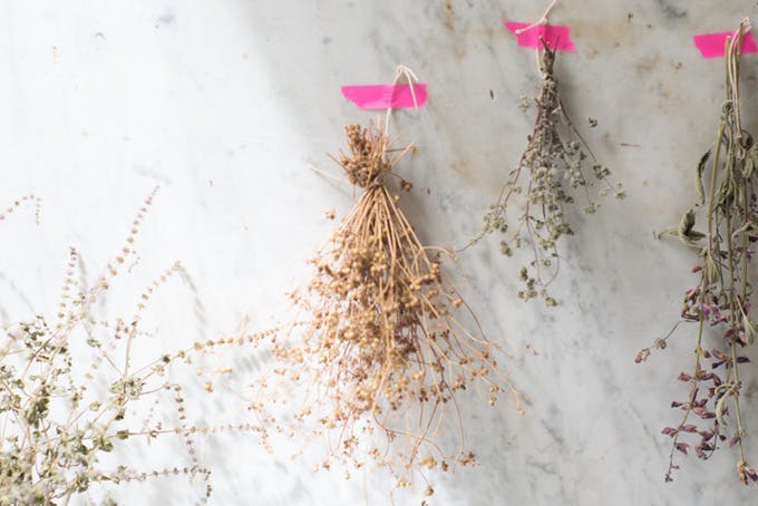 How to Dry Herbs