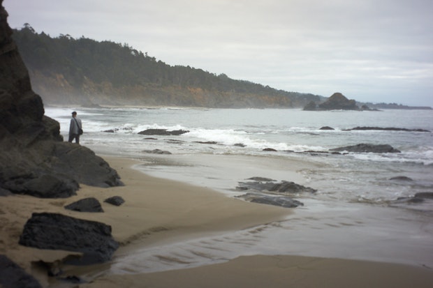 coastal california beach on misty day