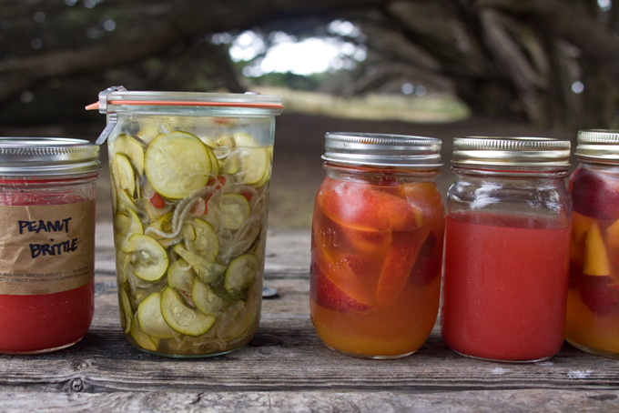 Quick Pickled Zucchini Recipe