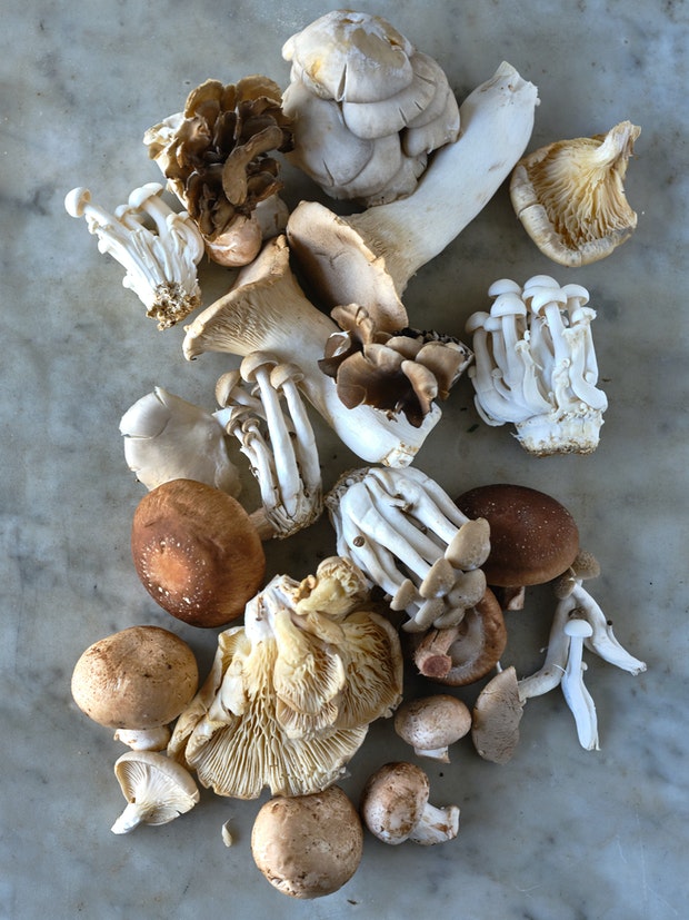 A sampler of different mushroom varietals